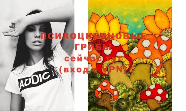 круглые Аркадак