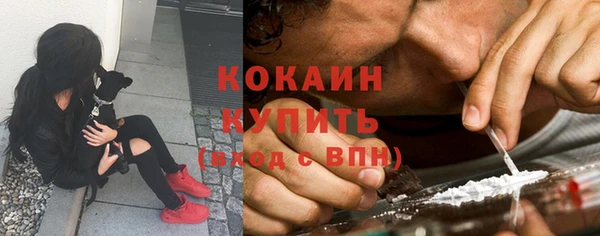 круглые Аркадак